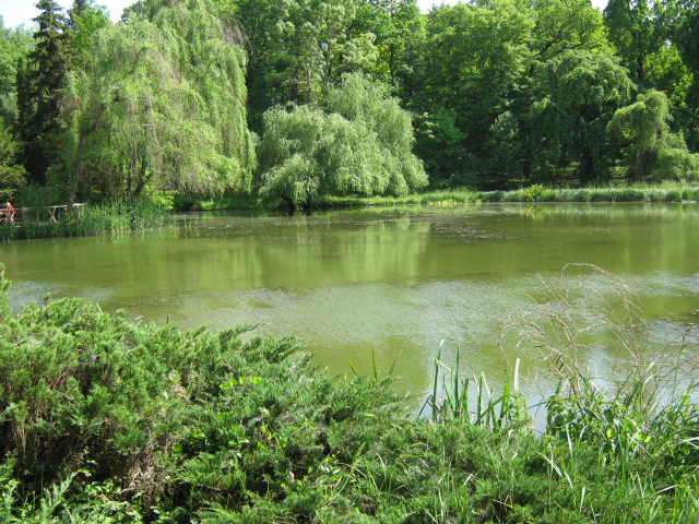 Vácrátóti botanikus kert